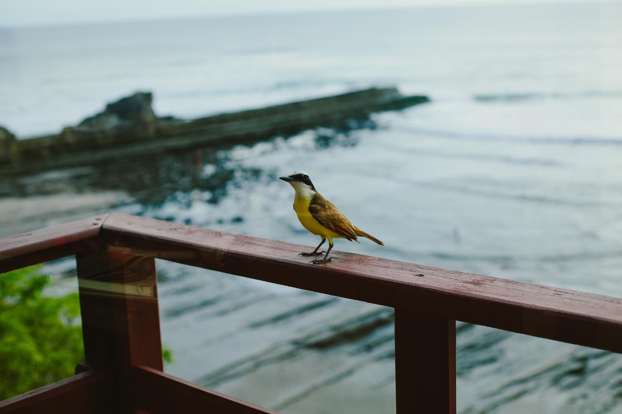 Magnific Rock - Surf & Yoga Retreat Nicaragua